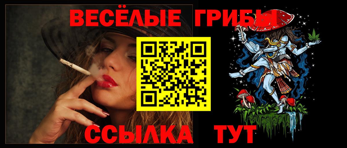 Псилоцибиновые грибы Psilocybe  Вход с VPN  Галлюциногенные грибы Cubensis  Тулун 